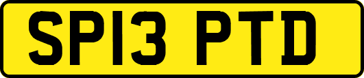 SP13PTD