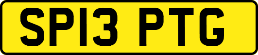 SP13PTG