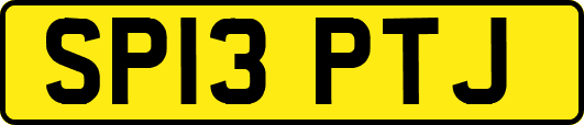 SP13PTJ