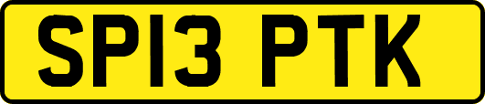 SP13PTK
