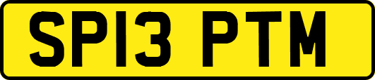 SP13PTM