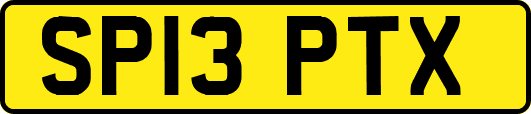 SP13PTX