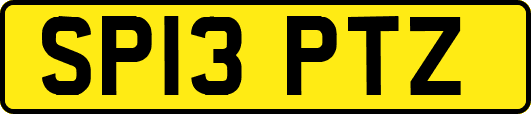 SP13PTZ