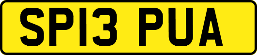 SP13PUA