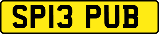SP13PUB
