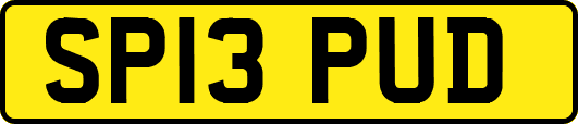 SP13PUD