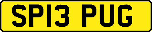 SP13PUG