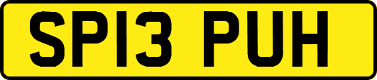 SP13PUH