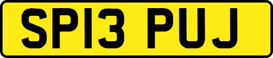 SP13PUJ