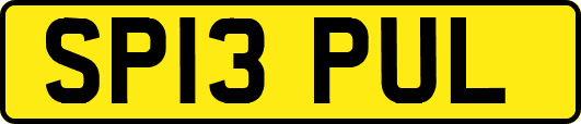 SP13PUL