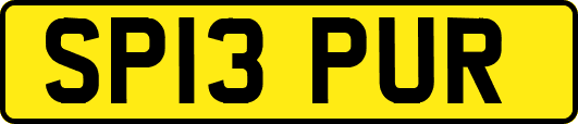 SP13PUR