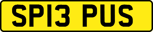 SP13PUS