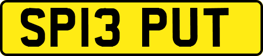 SP13PUT