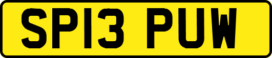 SP13PUW