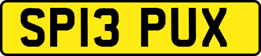 SP13PUX