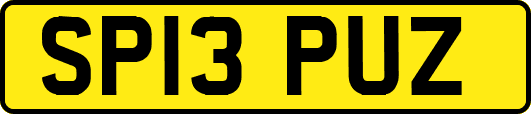 SP13PUZ