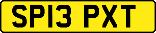 SP13PXT