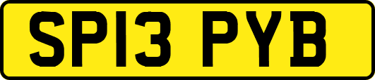 SP13PYB