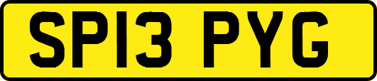 SP13PYG