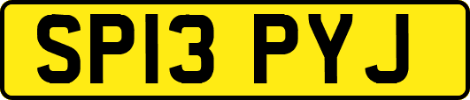 SP13PYJ