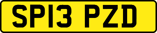 SP13PZD