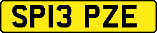 SP13PZE