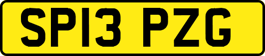 SP13PZG