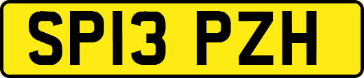 SP13PZH
