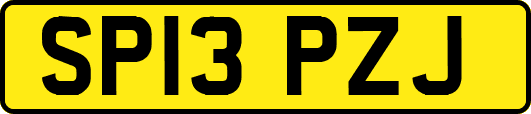 SP13PZJ