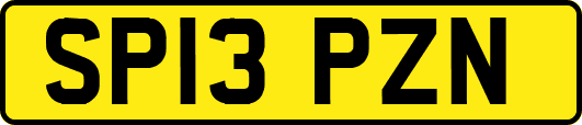 SP13PZN