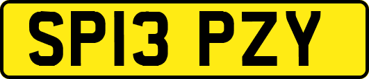 SP13PZY