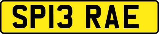 SP13RAE