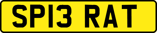SP13RAT