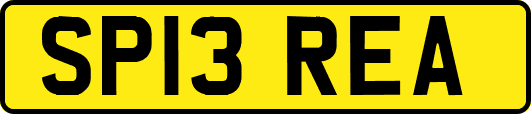 SP13REA