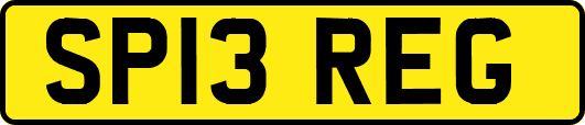 SP13REG