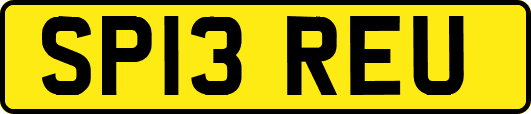 SP13REU