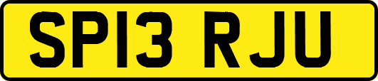 SP13RJU