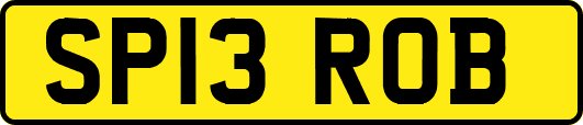 SP13ROB