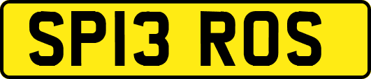 SP13ROS