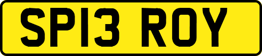 SP13ROY
