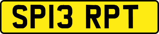 SP13RPT