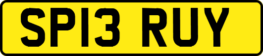 SP13RUY
