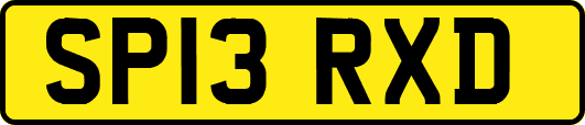 SP13RXD
