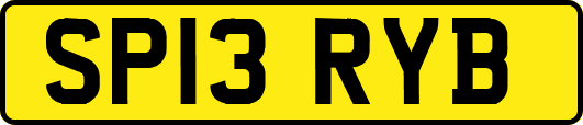 SP13RYB
