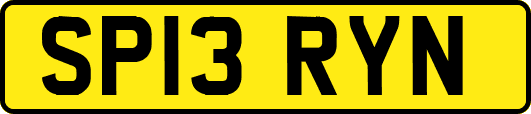 SP13RYN