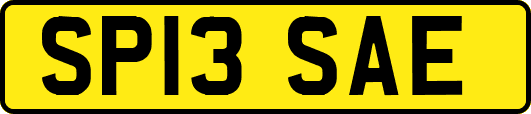 SP13SAE