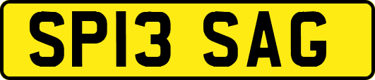 SP13SAG
