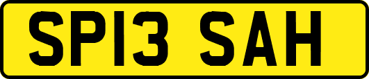 SP13SAH