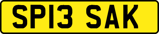 SP13SAK