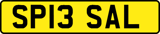 SP13SAL